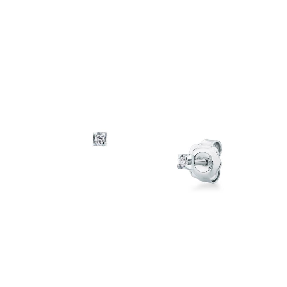 White Gold Stud Earrings with Diamonds 0.05ct G V - MIRCO VISCONTI